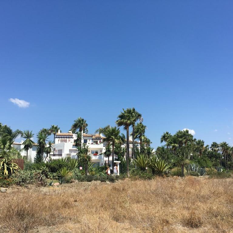 Costalita beach - Apartamento con terraza - 5