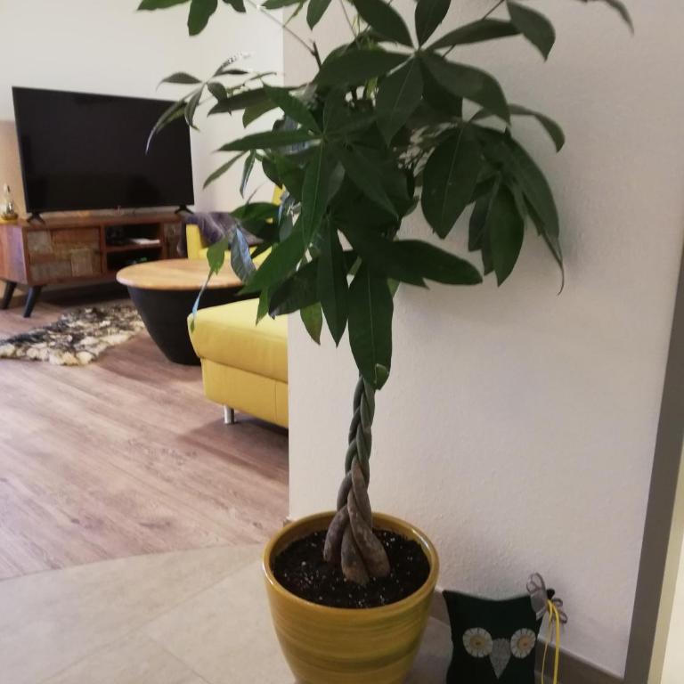 Schmaranzer - Apartment mit 1 Schlafzimmer - 10