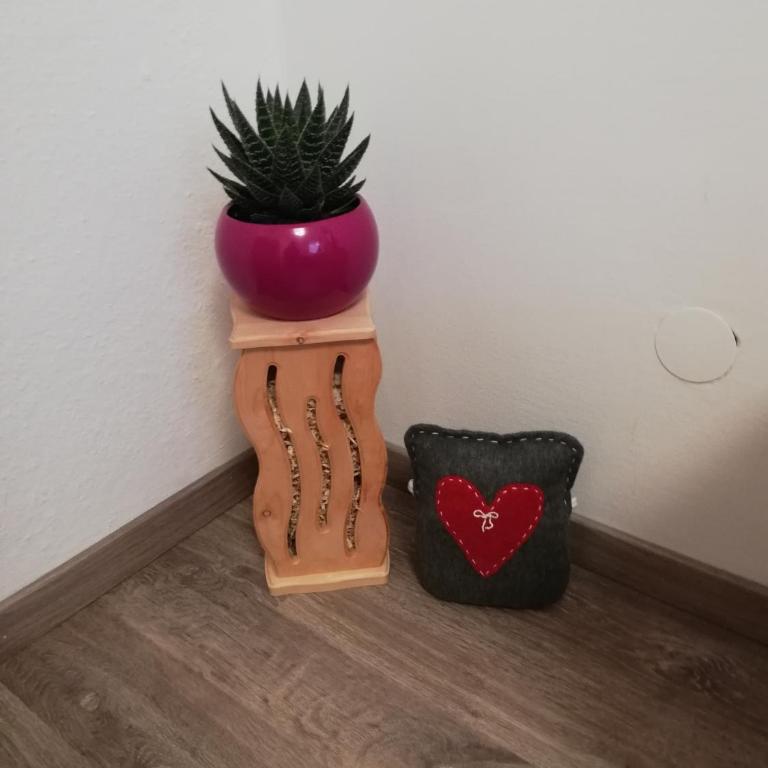 Schmaranzer - Apartment mit 1 Schlafzimmer - 27