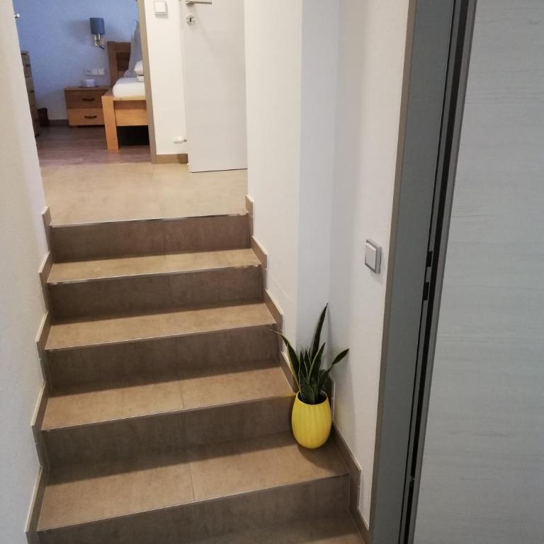 Schmaranzer - Apartment mit 1 Schlafzimmer - 35