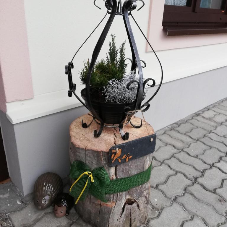 Schmaranzer - Apartment mit 1 Schlafzimmer - 3