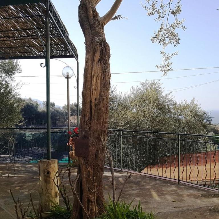 La Scaletta Casa Vacanze - Casa Vacanze - 21