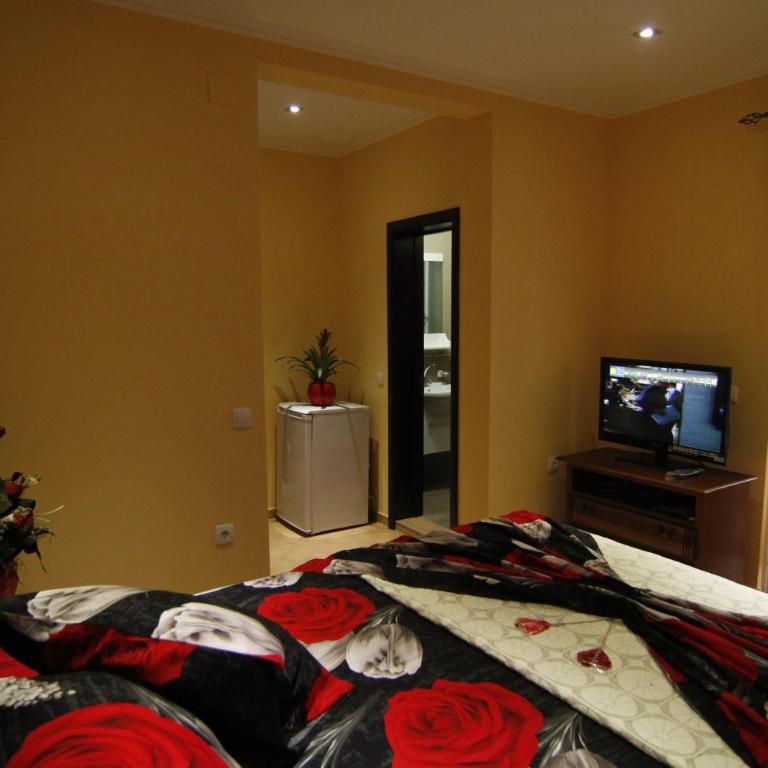 Kopernikus Apartments - Studio - 4
