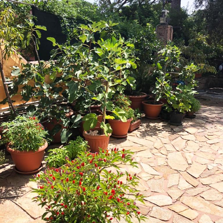 Mare blu - Appartamento - 36