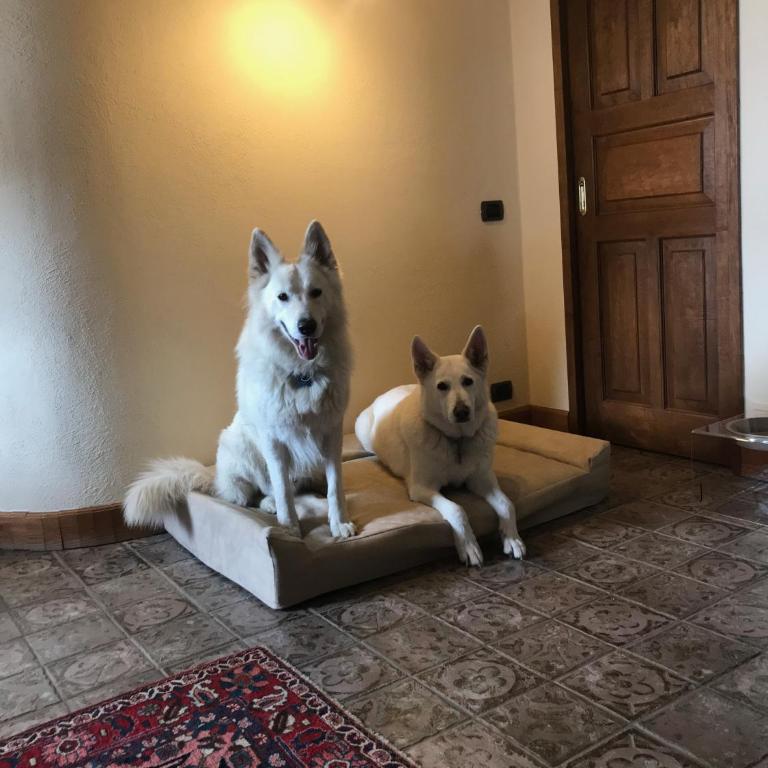 Hotel Lyshaus - Suite Familiare - 22