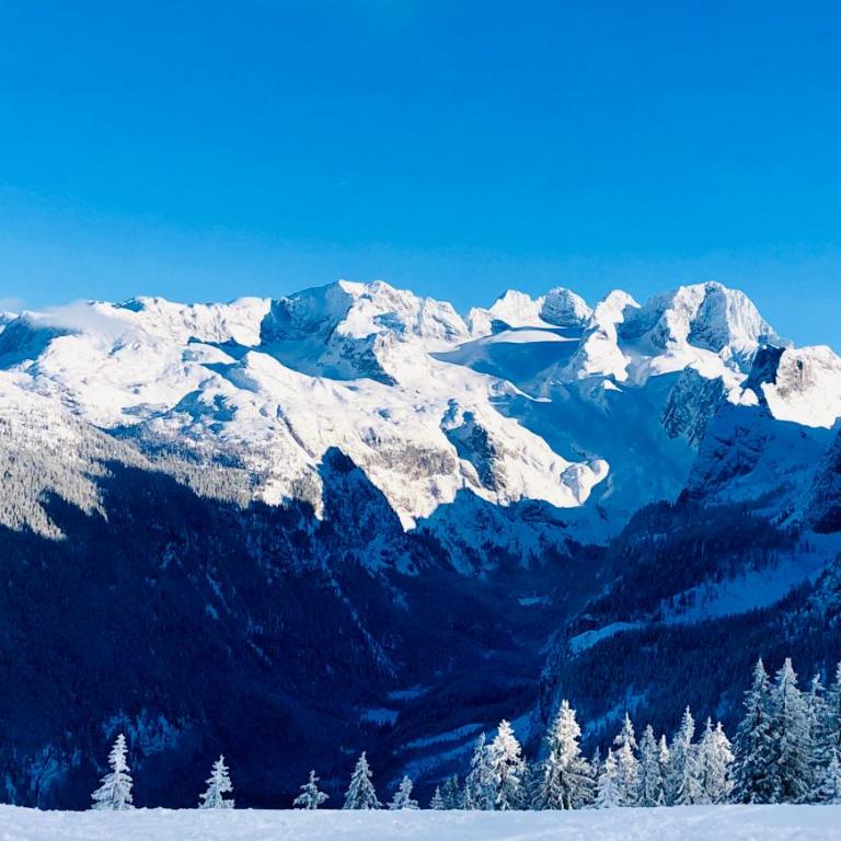 Gosau Apartment 006 - Apartment mit Blick auf die Berge - 33