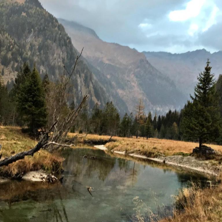 Das AlpenLoft - Apartment mit Blick auf die Berge - 75