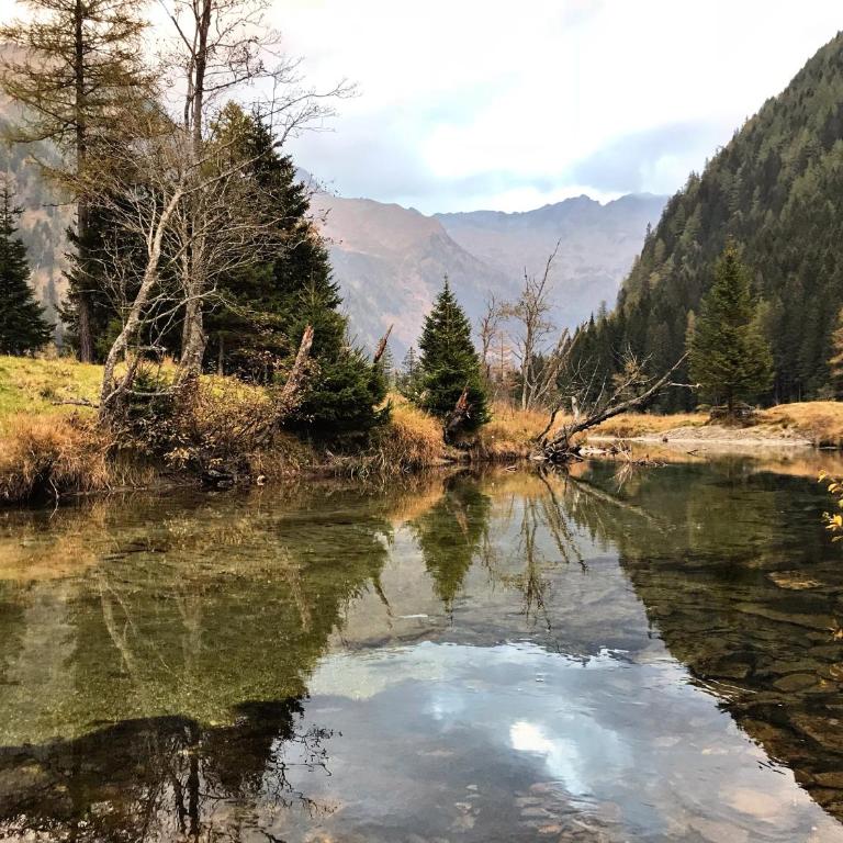 Das AlpenLoft - Apartment mit Blick auf die Berge - 55