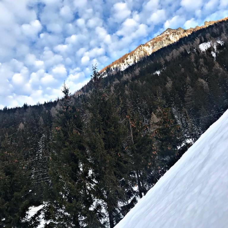 Das AlpenLoft - Apartment mit Blick auf die Berge - 52