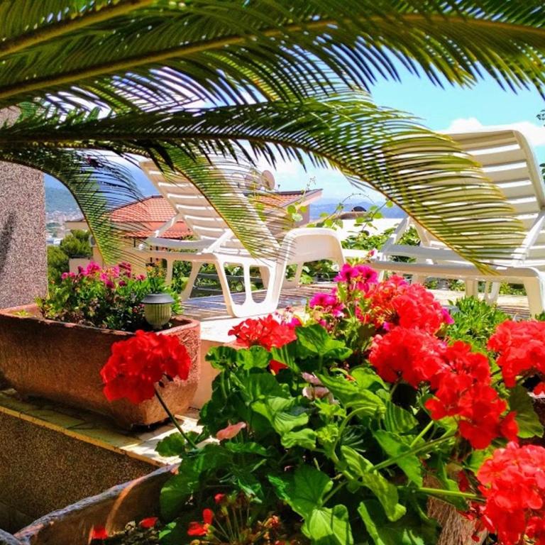 Comfort Apartments - Apartment with Garden View - 1