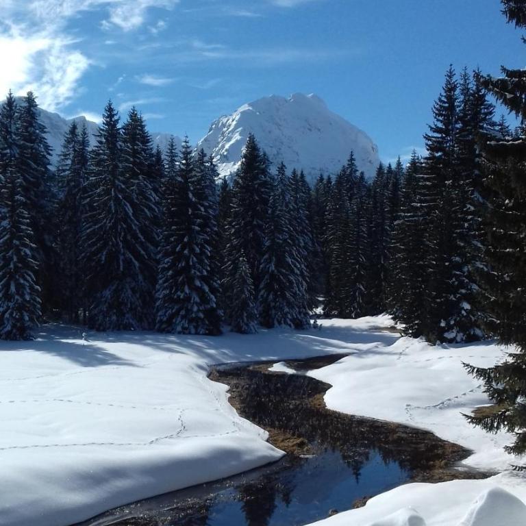 Apartment Home Popovic - Apartment - 41