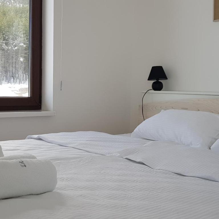 VNB apartman Tornik-Zlatibor - Duplex Apartment - 68