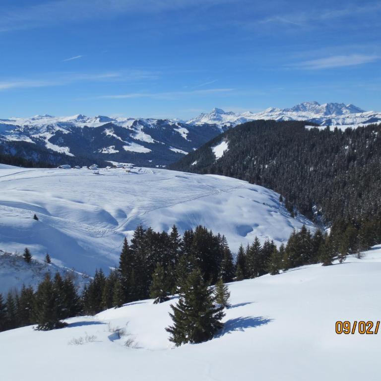 L'Onyx - Domaine de Nant Cruy - Chalet de 2 dormitorios - 20