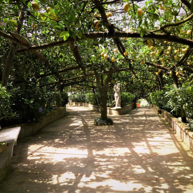 casa dei limoni - Appartamento con 1 Camera da Letto - 31