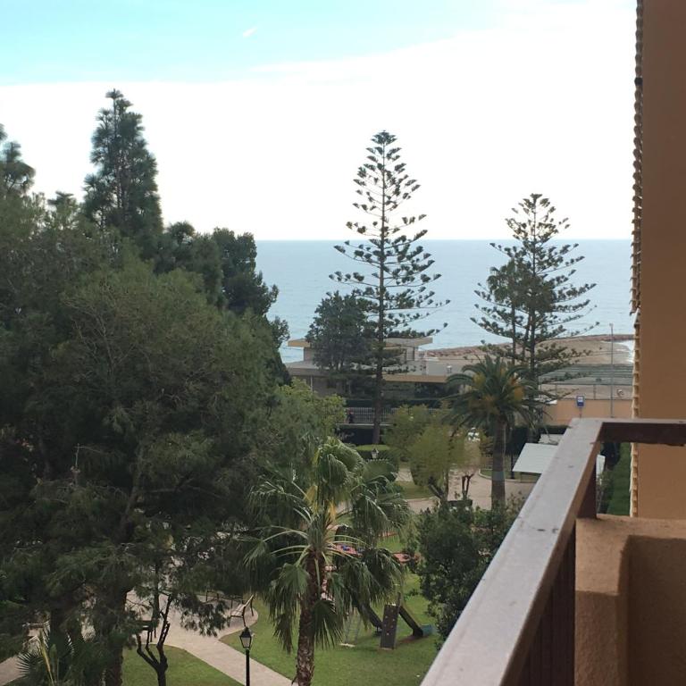 Madeira - Apartamento - 2