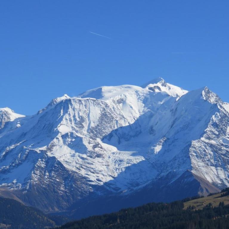 Orée des pistes - Appartement - 13