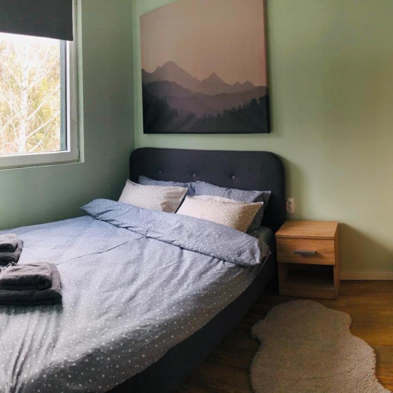 View - Apartment at Kopaonik - One-Bedroom Apartment - 11