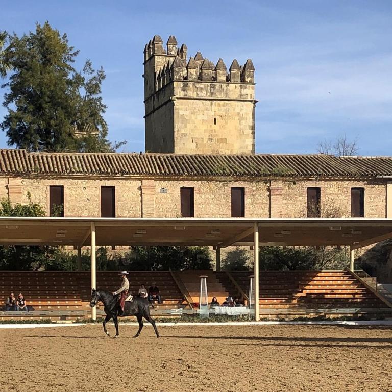 El mirador de la Mezquita-Catedral - Apartamento Deluxe - 61