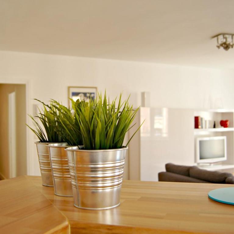 Little Suite - Théo - Apartment - 8