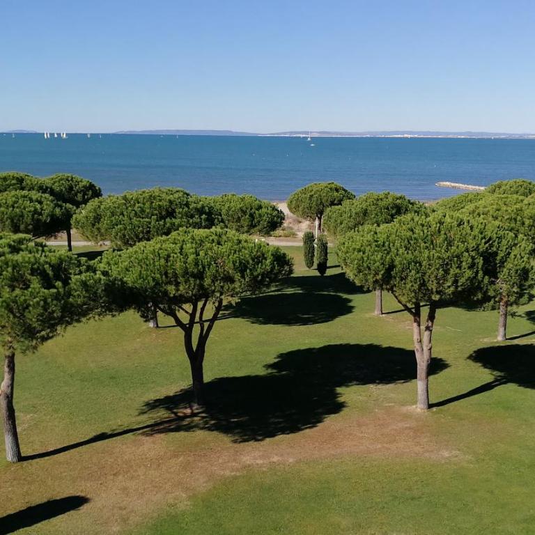 Rêve bleu - Apartment - 1