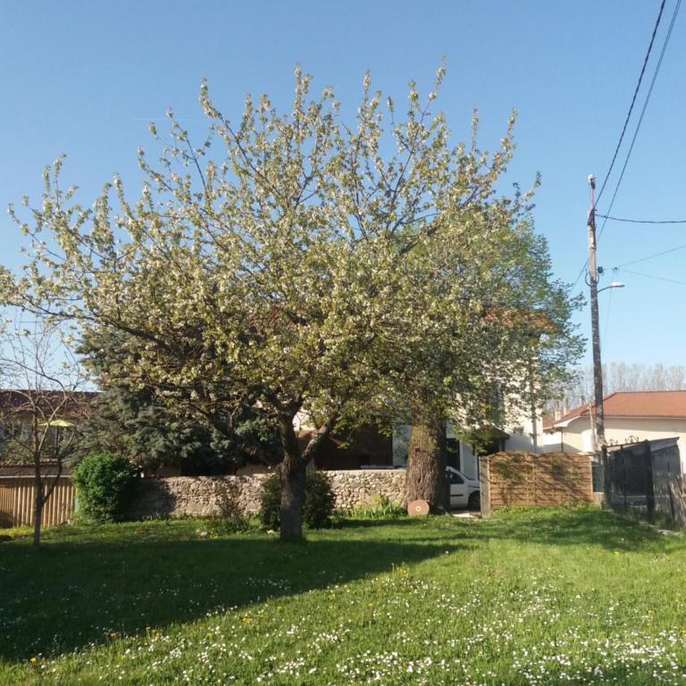 Les Copains d'Abord - Maison 2 Chambres - 14