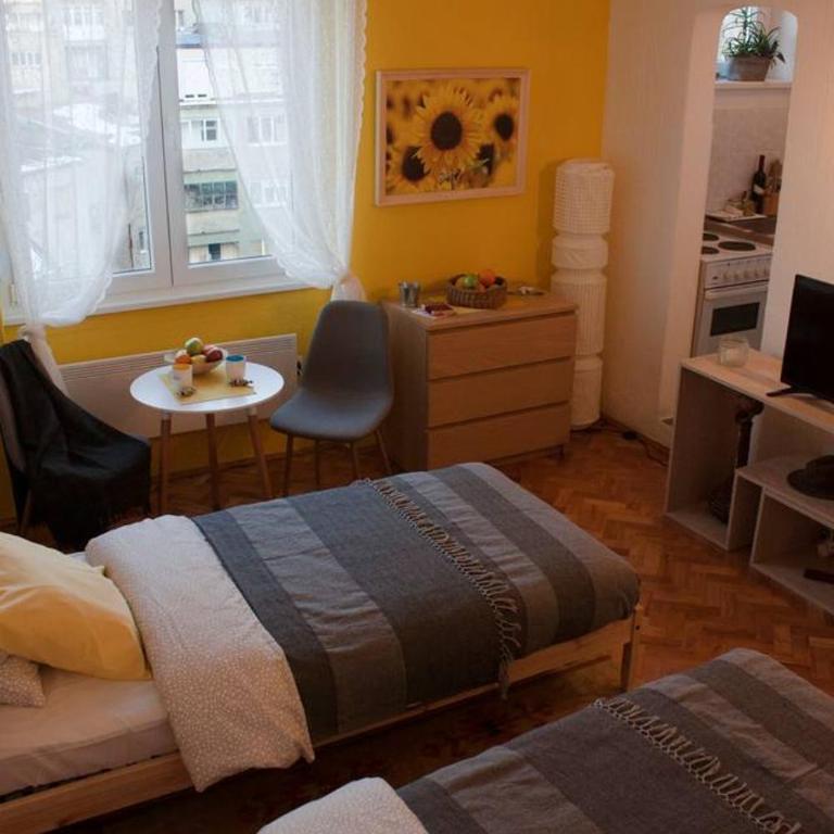 BGMignonne, so cozy, so relaxing, so near center - Apartman sa 1 Spavaćom Sobom - 11