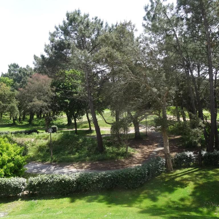 Location d Armelle - Moliets - Appartement - Vue sur Piscine - 57