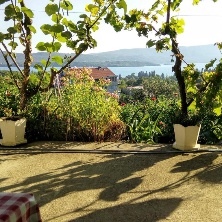 Apartmani Bosco - Apartman - 7