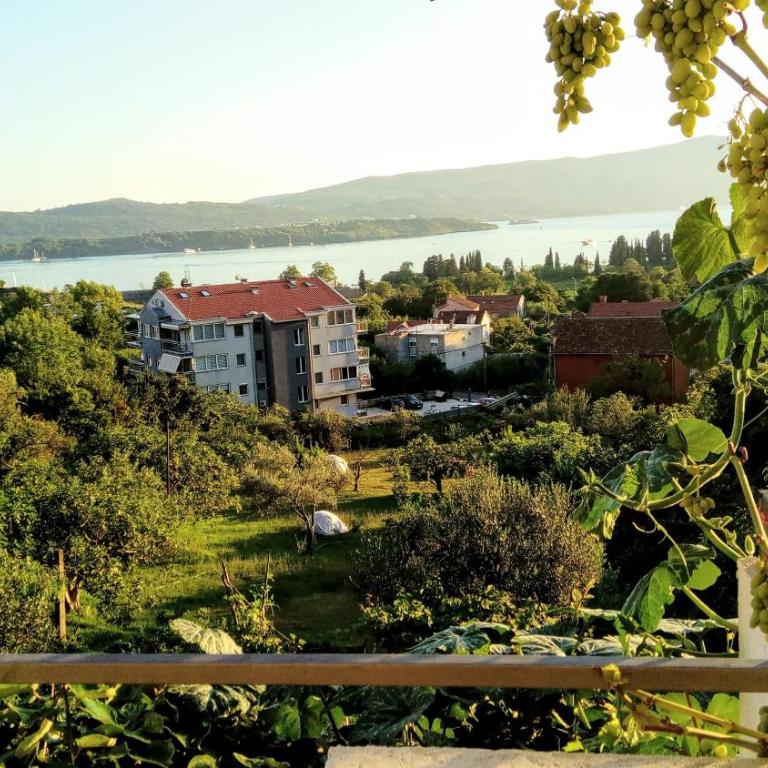 Apartmani Bosco - Apartman sa Balkonom - 5