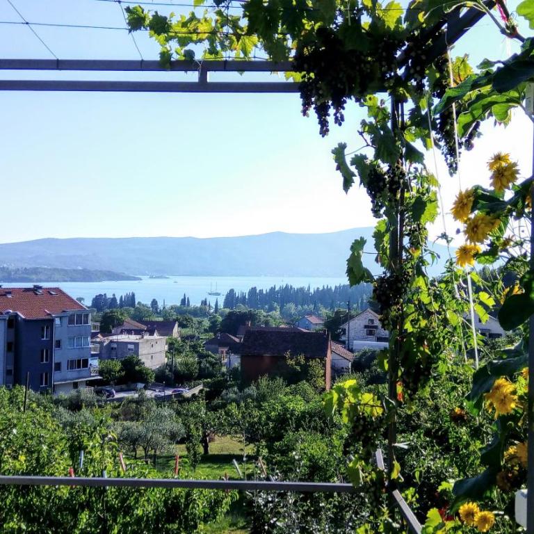 Apartmani Bosco - Studio Apartman sa Pogledom na More - 11