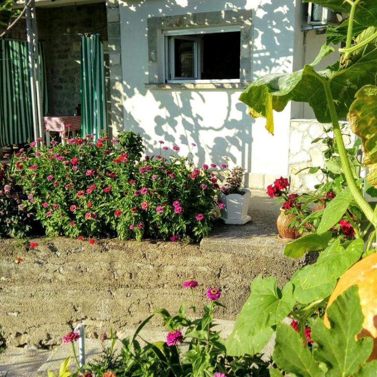 Apartmani Bosco - Studio Apartman sa Pogledom na More - 12