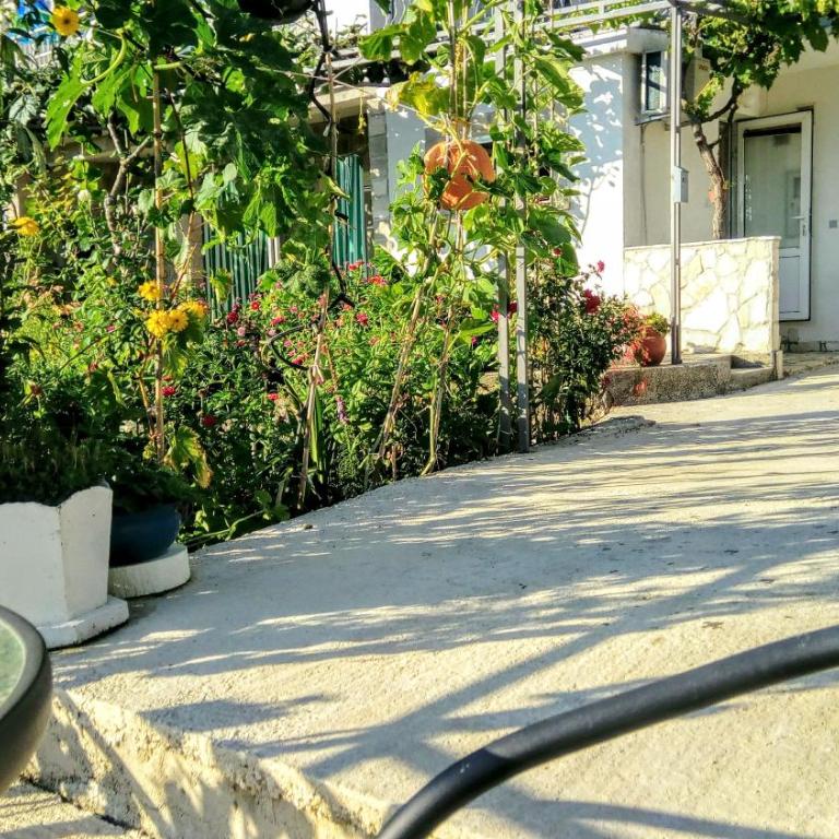 Apartmani Bosco - Studio Apartman sa Pogledom na More - 13