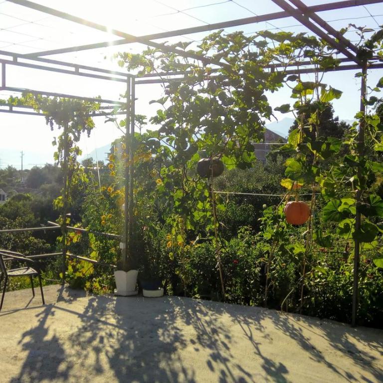 Apartmani Bosco - Studio Apartman sa Pogledom na More - 16