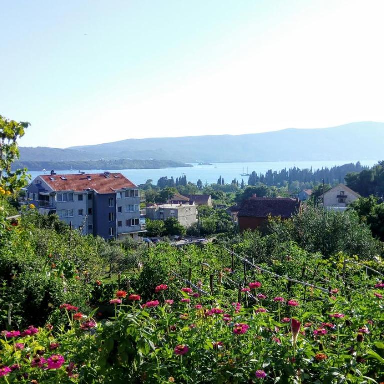 Apartmani Bosco - Studio Apartman sa Pogledom na More - 18