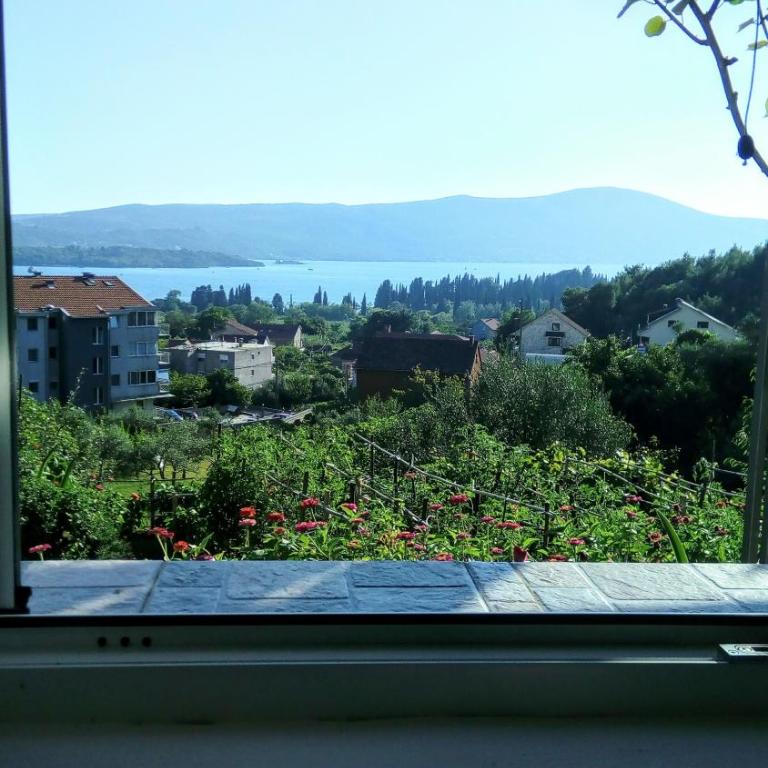 Apartmani Bosco - Studio Apartman sa Pogledom na More - 19