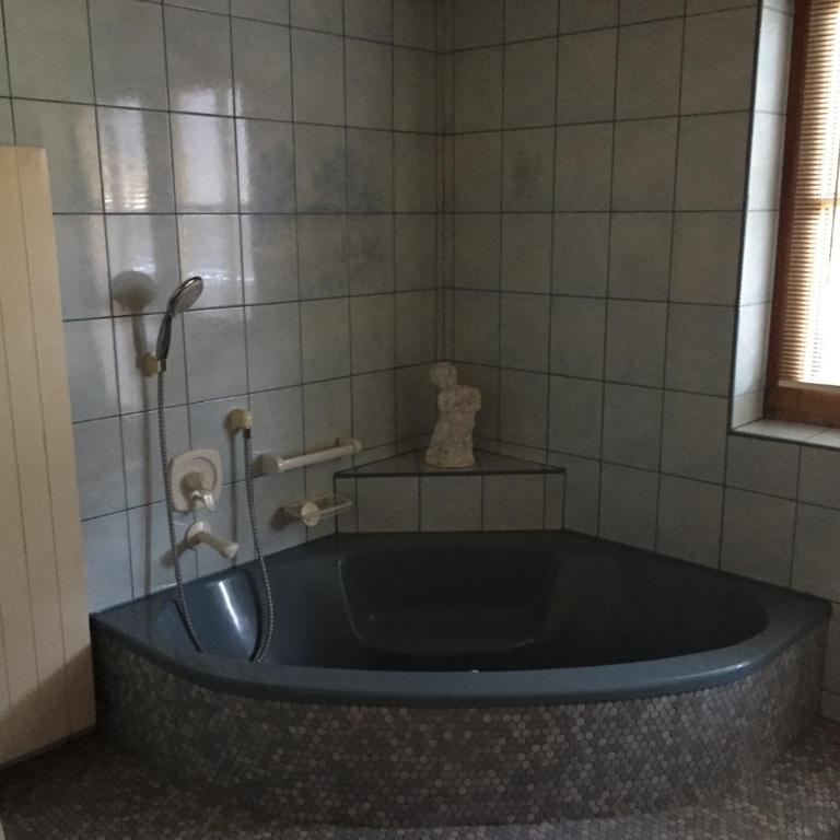 Landhaus Hörhager - Apartment mit 1 Schlafzimmer - 16
