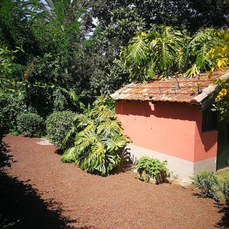 Jardines de Hortensia - Vacation home Tenerife - Casa de 2 dormitorios - 29