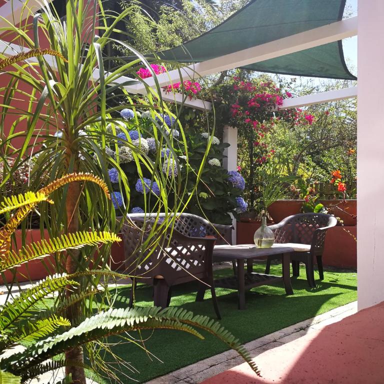 Jardines de Hortensia - Vacation home Tenerife - Casa de 2 dormitorios - 32
