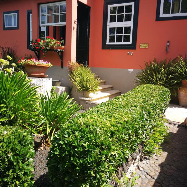 Jardines de Hortensia - Vacation home Tenerife - Casa de 2 dormitorios - 41