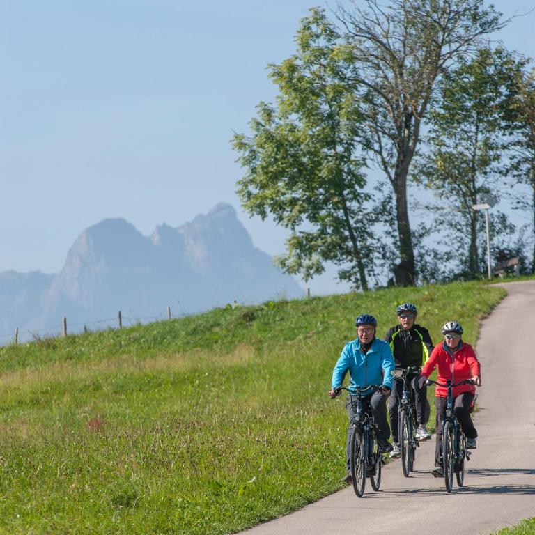 Ferienwohnung Breyer, südliches Allgäu - Apartment mit Blick auf die Berge - 14