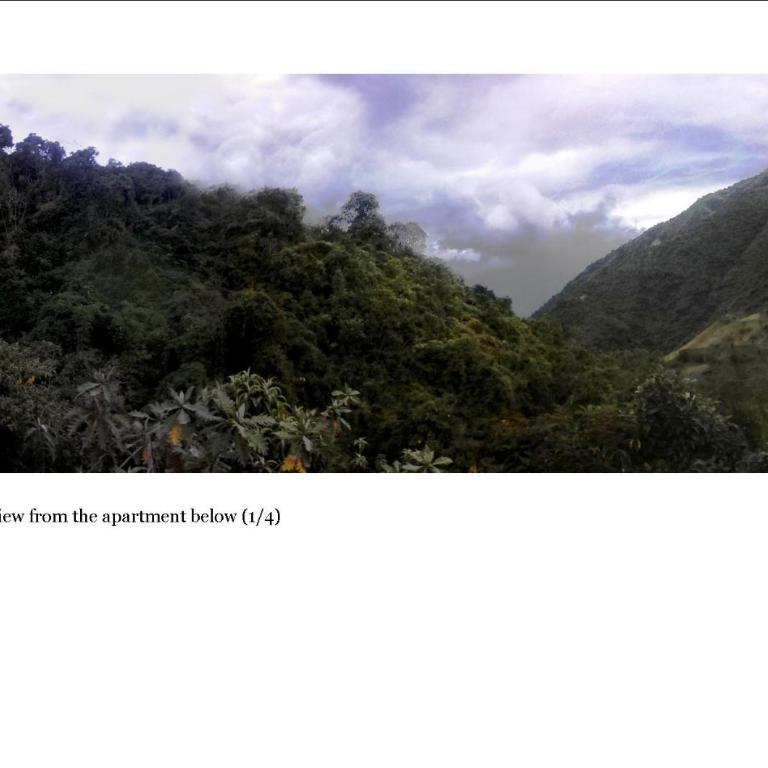Finca Petrona - Suite with Mountain View - 4