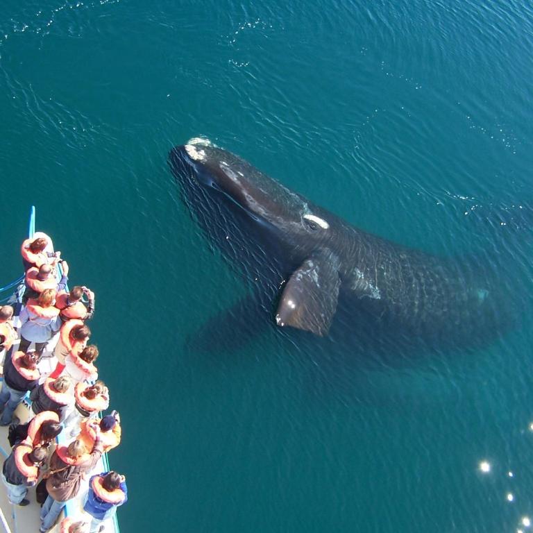 Kosten al Mar - Apartamento (4 adultos) - 31