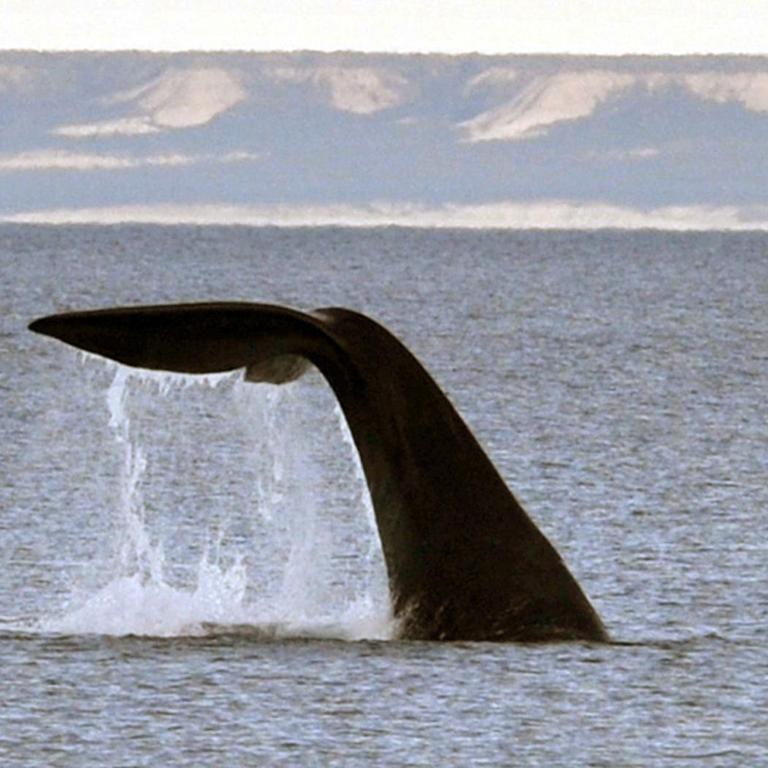 Kosten al Mar - Apartamento (4 adultos) - 58