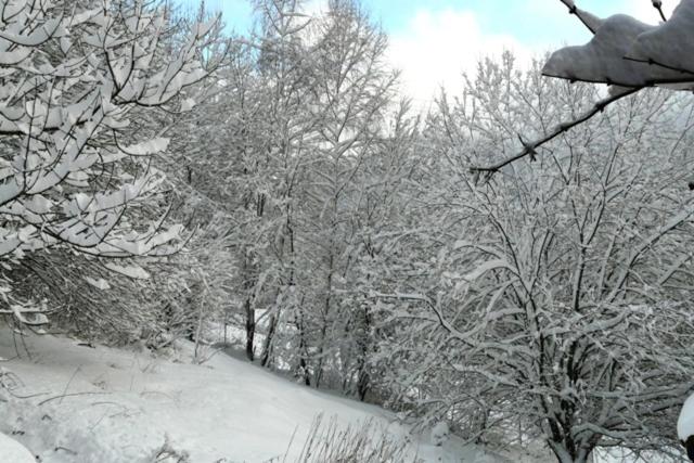 Chalet Les Sapins Argentés - Chalet - 34