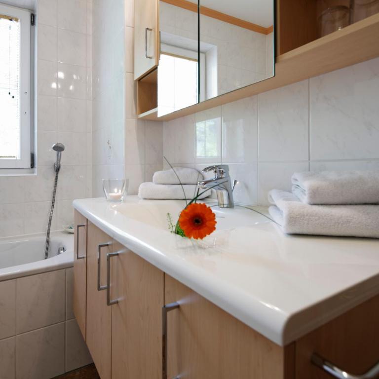 Appartment Kinigadner - Großes Apartment mit 1 Schlafzimmer - 7