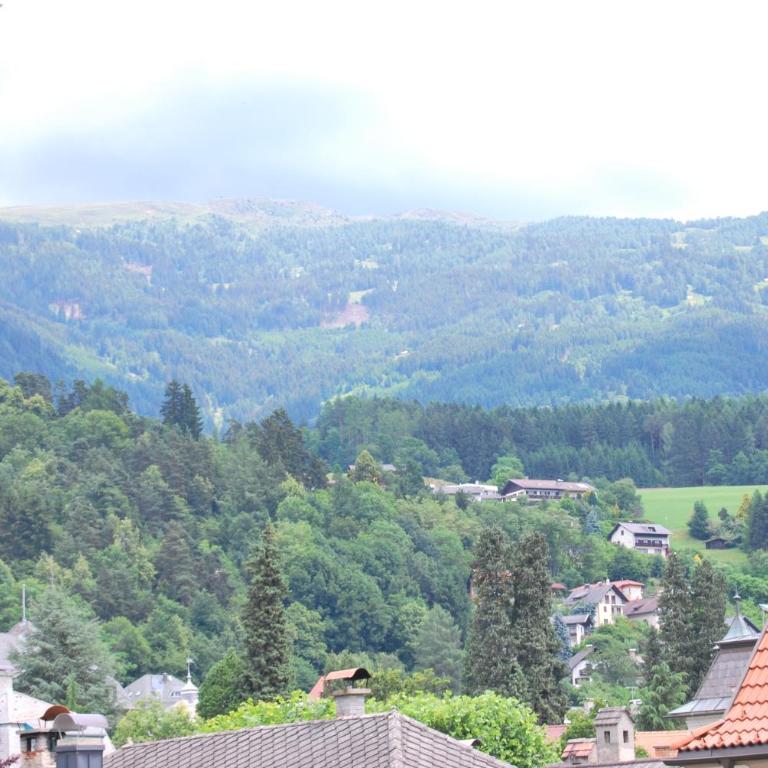 Villa Streintz - Apartment mit 1 Schlafzimmer mit Balkon und Gartenblick - 7