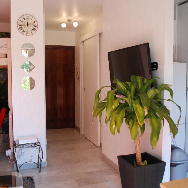 Studio - Juan les pins - proximité plages - Appartement 1 Chambre - 10