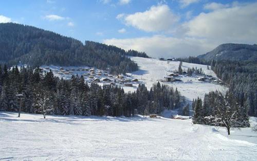 Alpenferienhaus Dachstein-West - Haus mit 3 Schlafzimmern - 16