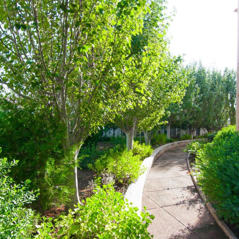 Codonyer A - Apartamento - 25