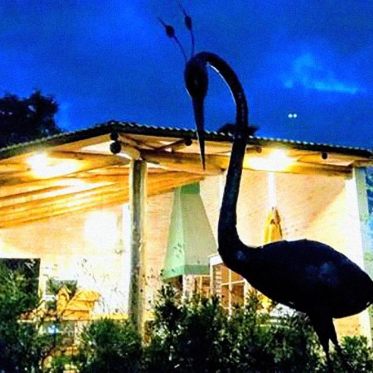 Tierra Mandarina Cabañas - Casa - 1